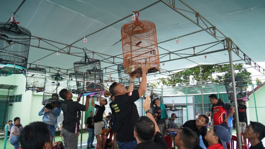 Persaingan ketat dan doorprize menarik warnai Lomba Burung HUT ke-80 Korem 041/Gamas. Ratusan kicau mania meriahkan Makorem Bengkulu.