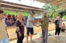 PT SIL bersama PT Bio Nusantara Teknologi menyalurkan 43 sapi dan 12 kambing kurban kepada masyarakat desa penyangga, panti asuhan dan karyawan pada Idul Adha 1447 Hijriah.